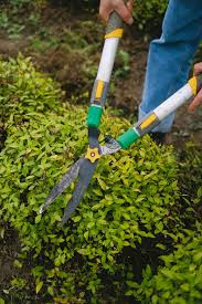 Handige gereedschappen voor het onderhouden van je tuin