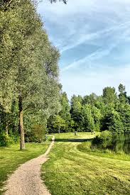 Recreatie in het Haarlemmermeerse Bos