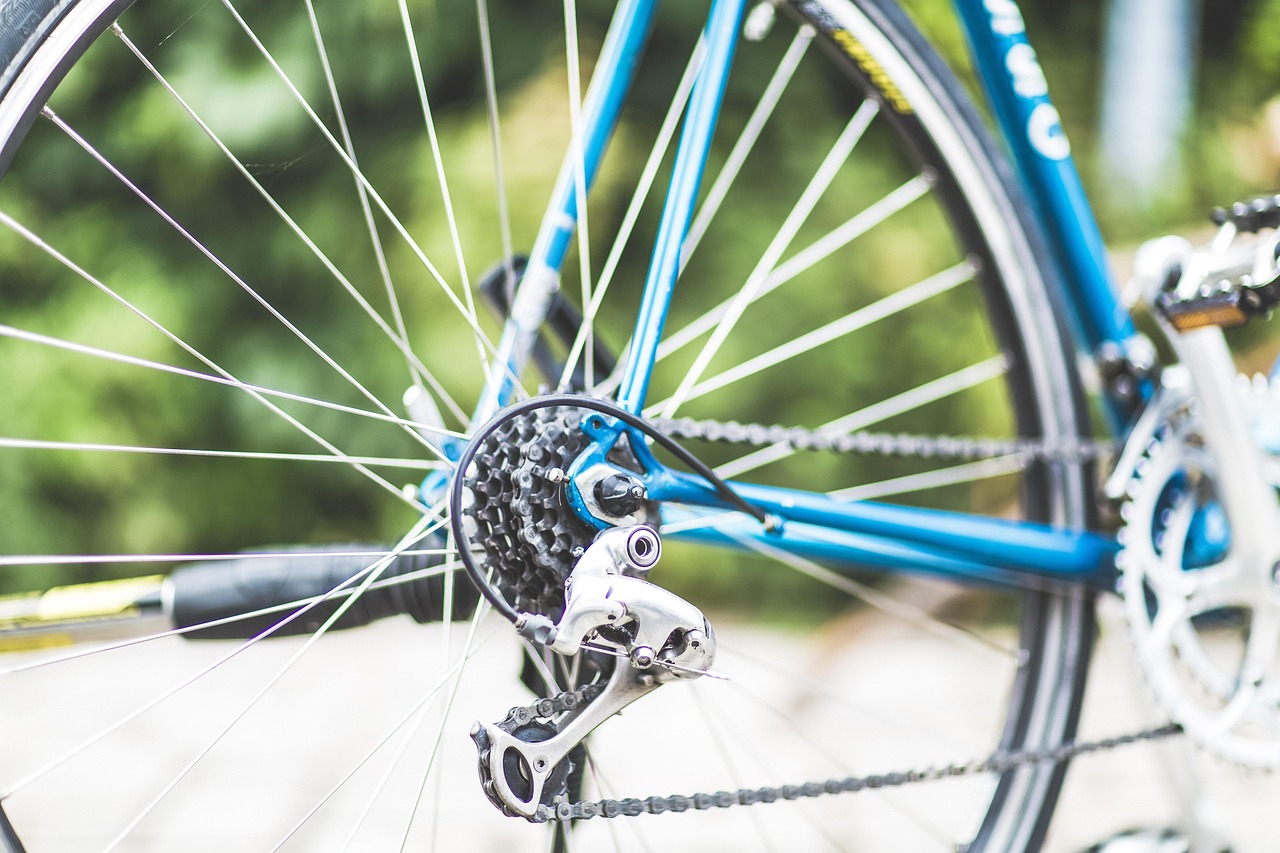 Hoe heeft de Cyclocross World Cup Hoogerheide op de kaart gezet?